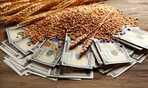 США виділили 20 мільйонів доларів на гуманітарну програму постачання зерна через порти Одещини