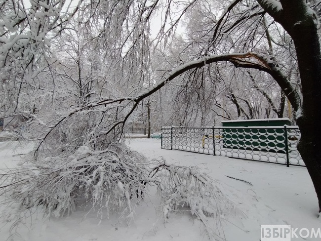 Одеським школярам дозволили не йти до школи 12 лютого через погіршення погоди