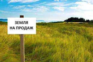 Продаватимуть поступово і з запобіжниками: відповідаємо на поширені запитання щодо закону про землю