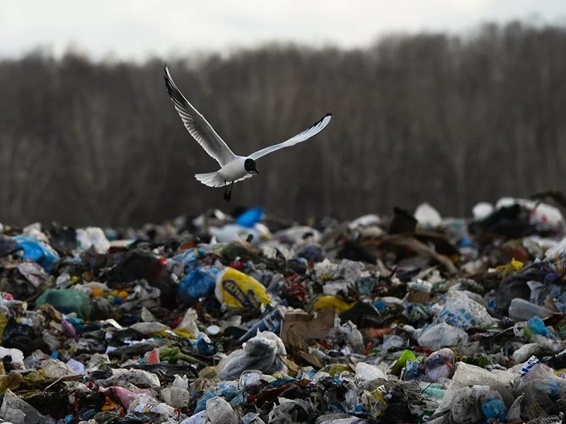 Одеську сміттєпереробну компанію оштрафували за нанесення збитків природі