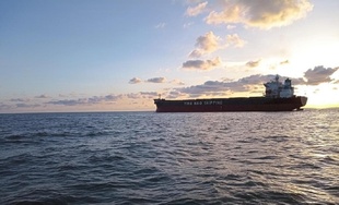 Порт "Чорноморськ" відновив відвантаження експортної агропродукції