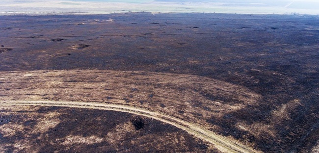 В Одесской области выжгли шесть тысяч гектаров ландшафтного заказника «Тарутинская степь», - экологи