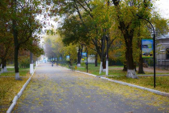 Чверть депутатів зі складу Роздільнянської міськради змінили адресу приймальні