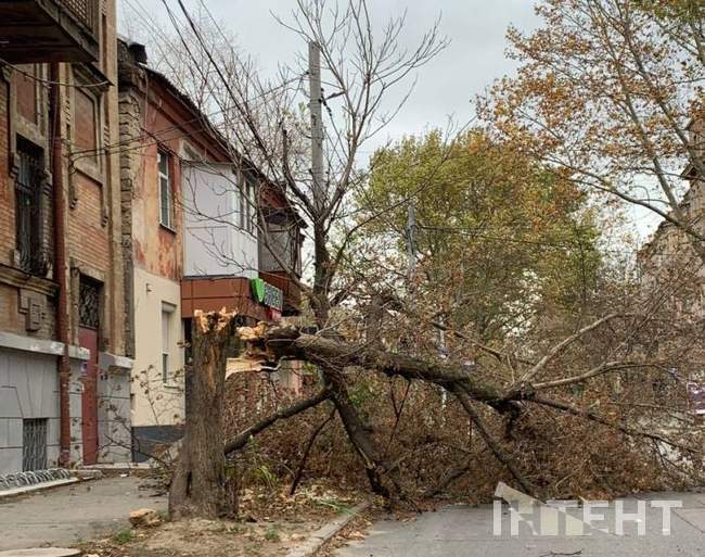 Наслідки негоди. Фото: Інтент / Леонід Громов