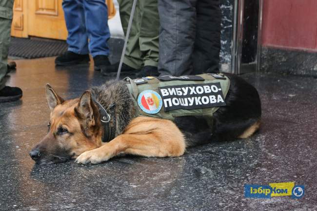 Сессия Одесского горсовета: вручение знака отличия бабушке Андрея Новичкова и выступление нардепа