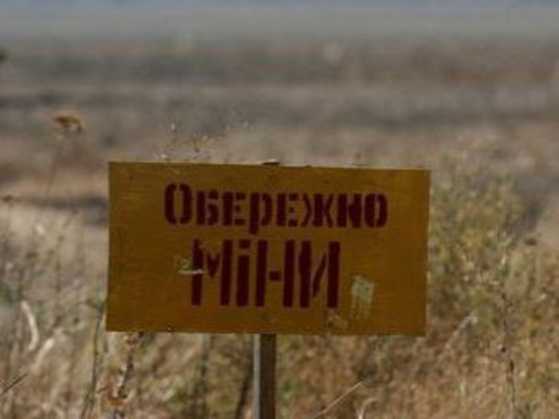 Автівка на Миколаївщині підірвалася на міні, постраждало немовля