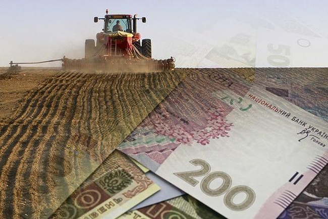 Фермери Одещини отримають державну компенсацію за втрачений врожай