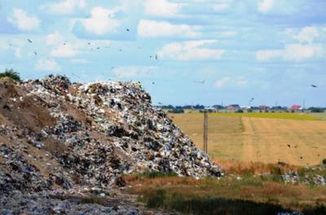 Под работу мусороперерабатывающего завода хотят задействовать обе одесские городские свалки