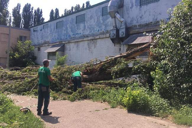 Матеріальну допомогу в мерії просять 385 постраждалих від негоди містян