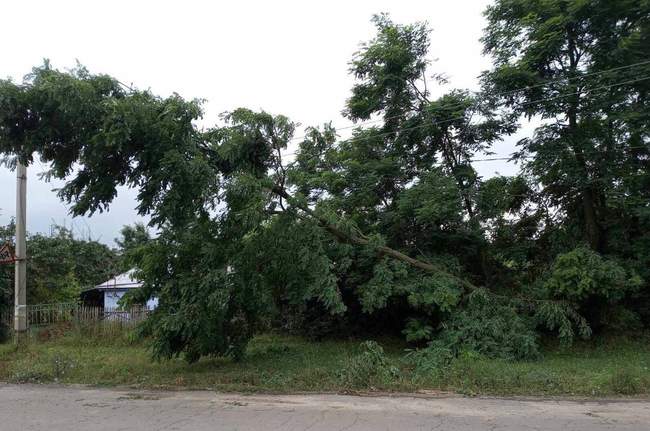 Фото: ДТЕК Одеські електромережі