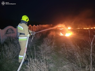 На Миколаївщині пожежники ліквідували вогонь на майже 7 гектарах