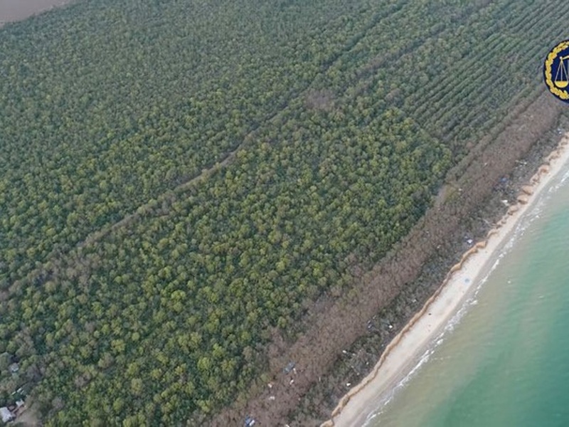 Прокуратура відсудила частину лісового масиву нацпарку «Тузловські лимани»