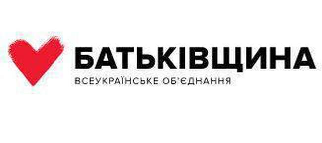 "Батькивщина" опубликовала первый публичный отчет о партийных финансах