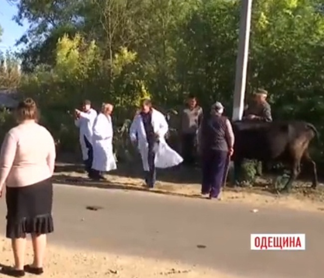В Одесской области «сибирку» обнаружили в селе, через которое проходит трасса Одесса-Рени