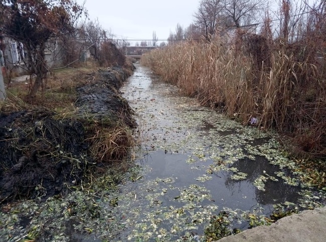 Компанія депутата Одеської міської ради ремонтуватиме дві ділянки Румунського каналу за 600 мільйонів