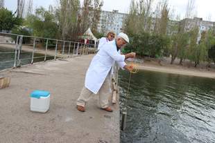 Fecal water pollution: which beaches in Mykolaiv are dangerous to swim on