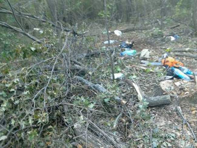 В Любашевском районе вводят «лесные патрули»