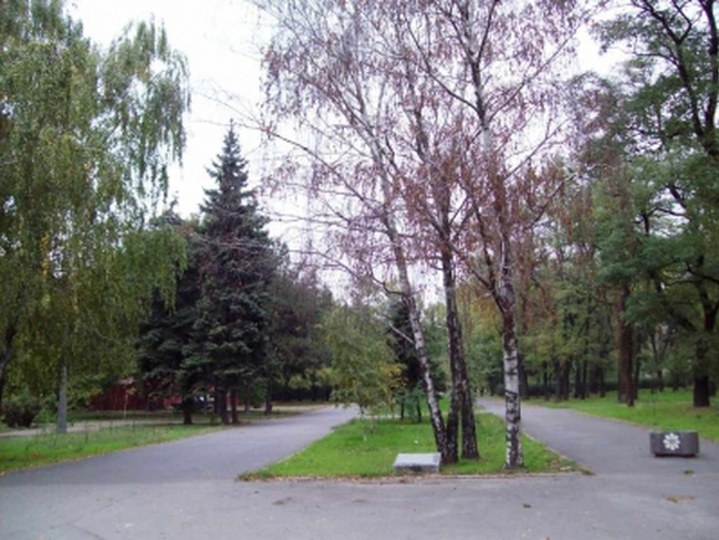 В парке Савицкого оборудуют места для сезонных ярмарок