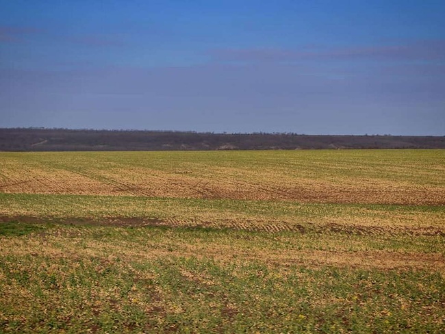 Аграрии Татарбунарского района оценили убытки от засухи в более чем полмиллиарда гривень