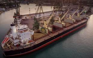 Dishonest grain exporter exposed in Odesa region