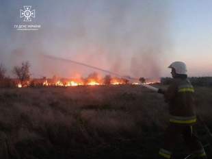 На Миколаївщині зареєстровано понад дві тисячі пожеж