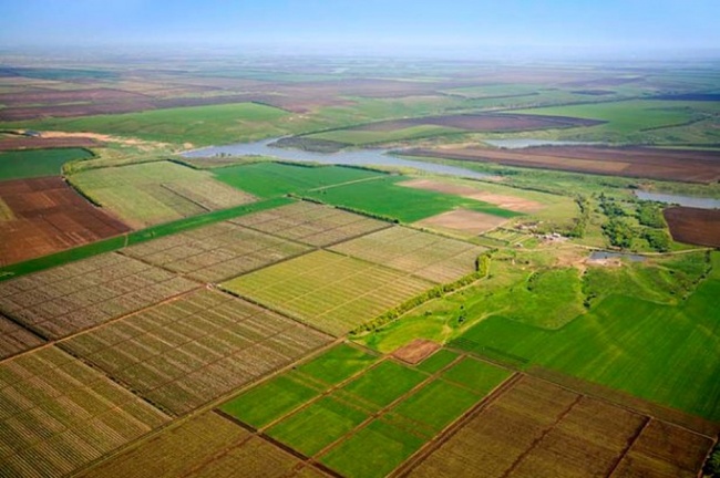 В Одеській області бійці АТО отримають понад 9,5 тисяч гектарів землі