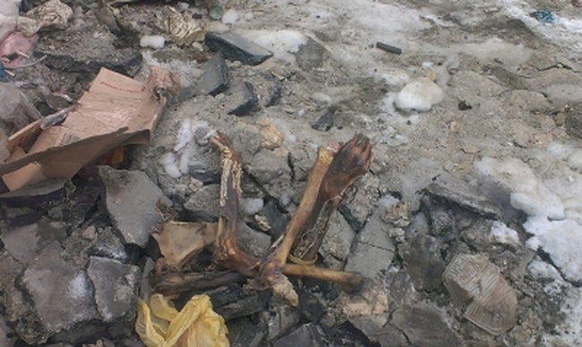 Полиция выясняет информацию о человеческих останках, обнаруженных под Потемкинской лестницей