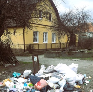 Миколаївці викидують сміття прямо на вулицю: ліквідовано стихійні сміттєзвалища