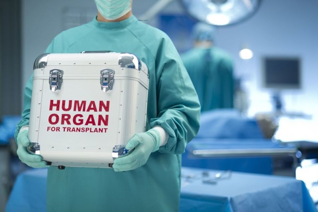 В следующем году в Украине заработает Единая система трансплантации