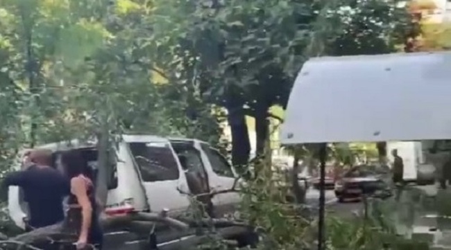 За два ясні дні в Одесі впалі дерева потрощили дві автівки