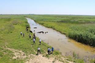 В природном парке с водяными буйволами в Ренийском районе разработаны три туристических маршрута