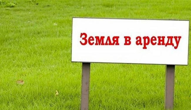 Антимонопольщики заявили об антиконкурентных действиях трех райгосадминистраций в Одесской области