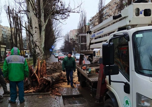 Негода в Одесі повалила кілька дерев: постраждали автівка та дах будинку