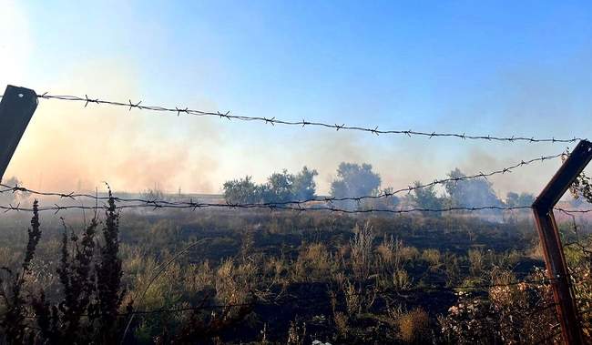 Фото: поліція Херсонської області