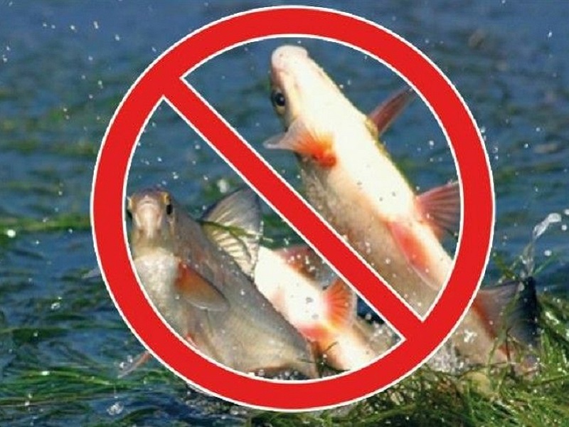 Військові заборонили риболовлю на окремих ділянках внутрішніх водойм Одещини