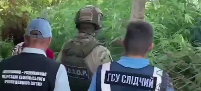 На Одещині під час рейду знайшли зброю і наркотики на 7,5 мільйона