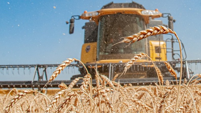 США розробляють «план Б» для експорту українського зерна після ударів по Одесі
