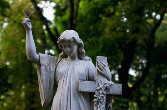 Антикорупційний суд за два дні почне розглядати справу про землю кладовища "Західне"