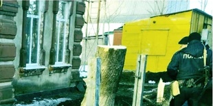 На Миколаївщині зупинили незаконне знищення дерев