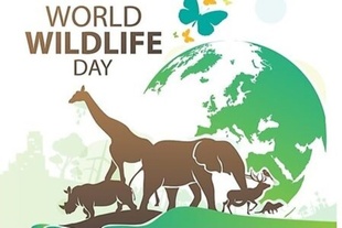 Миколаївський зоопарк відзначає День дикої природи