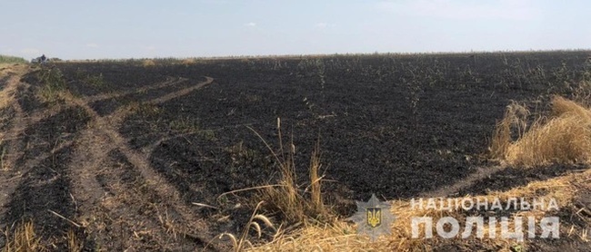 У Подільському районі вогонь знищив 13 гектарів зернових