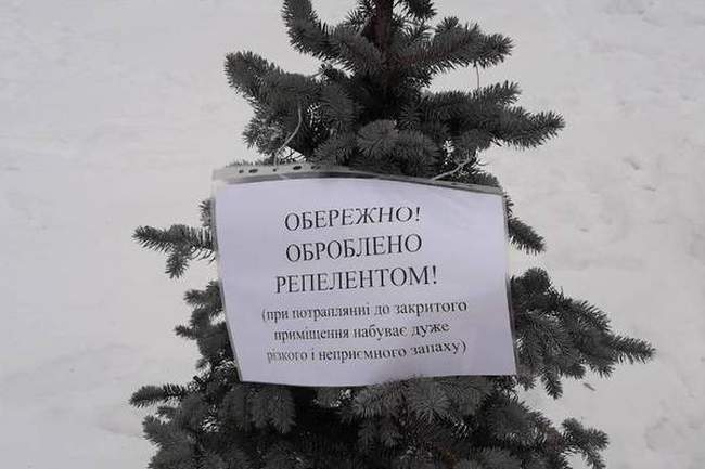 В Одеській області ялинки від вандалів рятують смородом