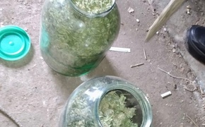 Поліція викрила жителя Миколаївщини, який незаконно зберігав канабіс