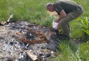 На Миколаївщині спалили свиней: як покарали винного