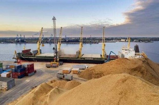 Підозрілі компанії вивезли через порти Одещини агропродукцію на 6 мільярдів - розслідування