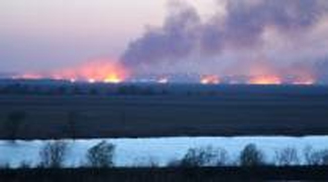 Эколог Иван Русев подозревает умышленный поджог заповедной зоны Нижнеднестровского национального парка