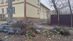 У Миколаєві ліквідовані стихійні сміттєзвалища