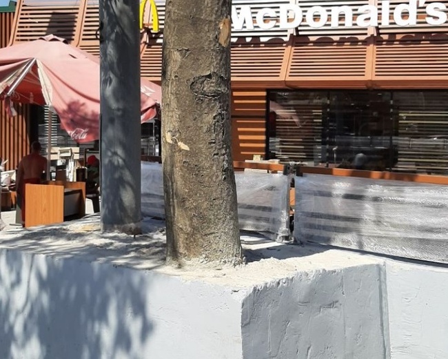 В Одессе подрядчик  McDonald's замуровал дерево в бетон