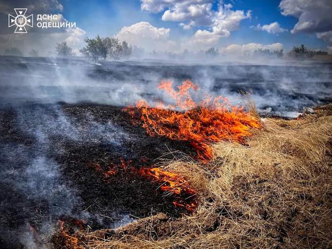 Фото: ДСНС в Одеській області