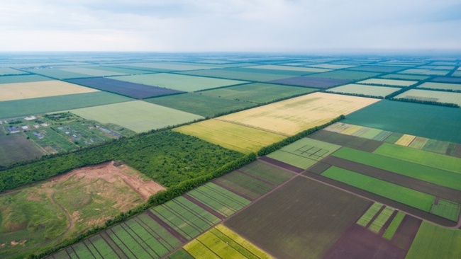 Більше 178 тисяч гектарів земель Одещини передали територіальним громадам